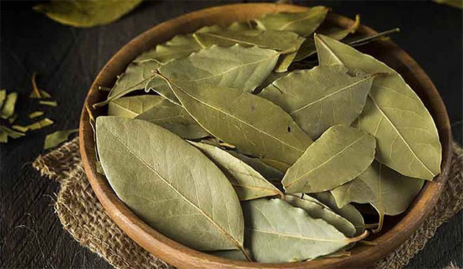 Là Nguyệt Quế Khô Được Dùng Làm Gia Vị